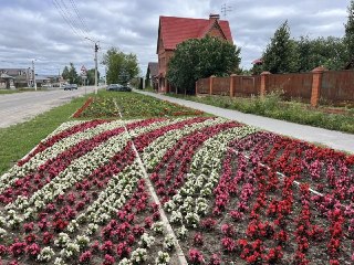 В Касимове обновили клумбы, но продолжаются кражи цветов