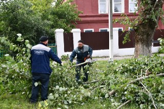 Станкостроительный Завод «Саста» Обеспечил Опиловку Деревьев на Пушкина