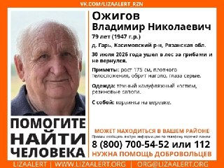 79-летний грибник пропал без вести в Касимовском округе